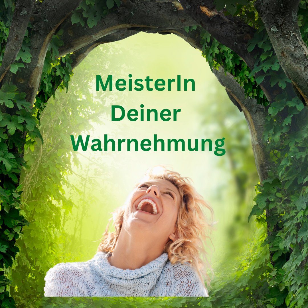 MeisterIn Deiner Wahrnehmung