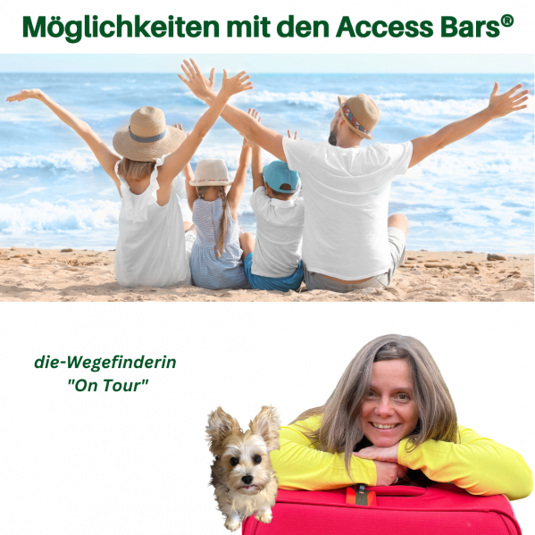Möglichkeiten mit den Access Bars